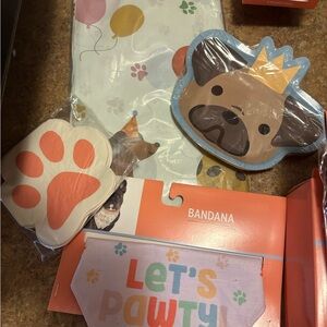 Dog Party Set with Bandana and Plates